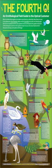 Infographic An Optical Dispensing Customer Guide