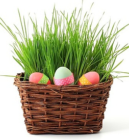 An Easter Egg Basket From VisionWeb