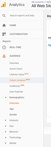 google_analytics_audience