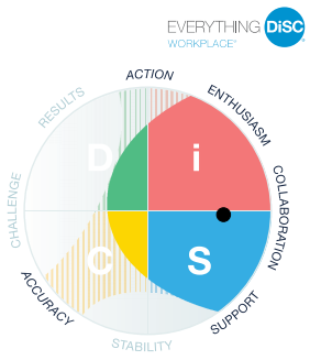 DiSC behavioral styles