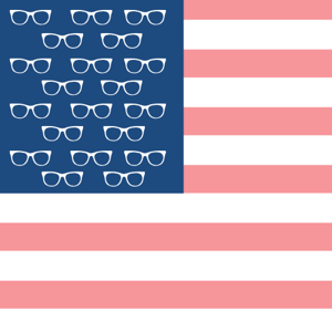 Optical Marketing in the USA blog image