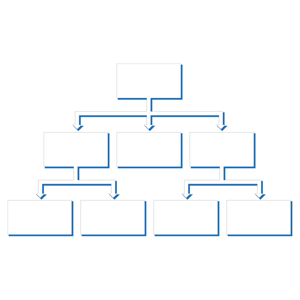 Organizational Structure of an Optometry Practice